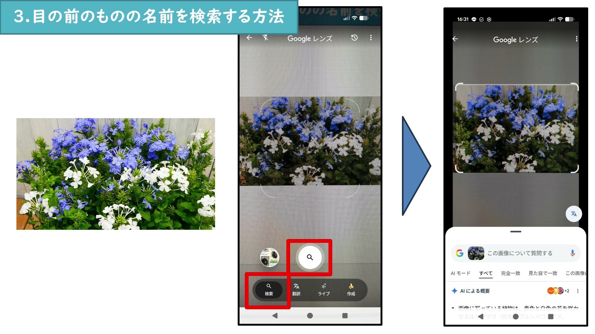 Googleレンズで花を写して名前を検索する手順